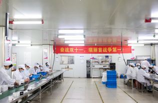 阿里B2B重整产业带，电子科技迎双11双线作战 一手扩内需，一手稳外贸